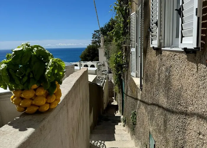 Yourhome - Adoro * Positano